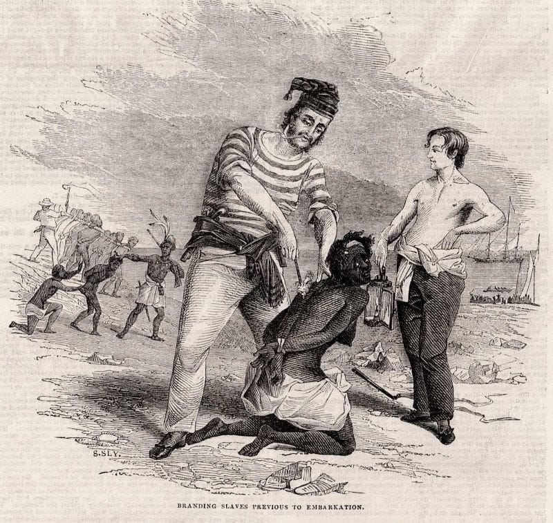 Convergen esclavitud y naturaleza en el Museo Afro Casa Silvana