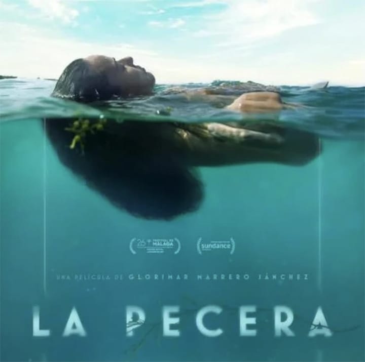 La Pecera se presentará en el Cine Solar de Casa Pueblo