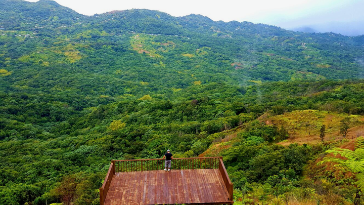 Casa Pueblo celebra los 30 años del Bosque del Pueblo