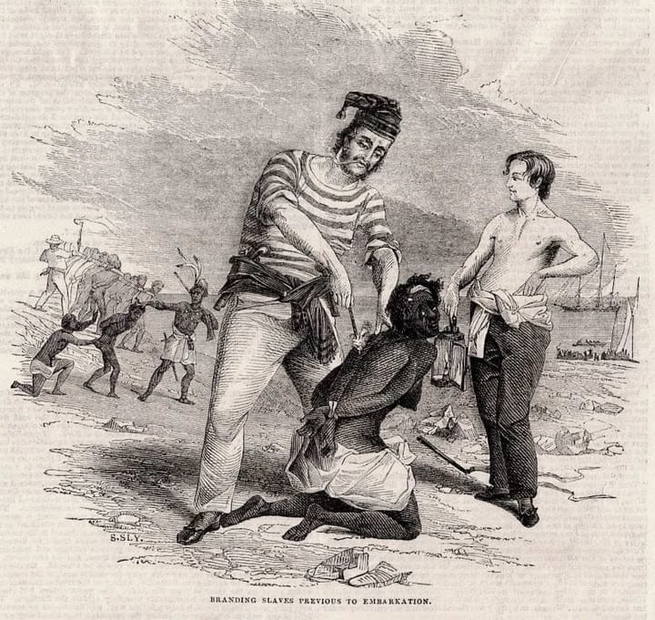 Convergen esclavitud y naturaleza en el Museo Afro Casa Silvana